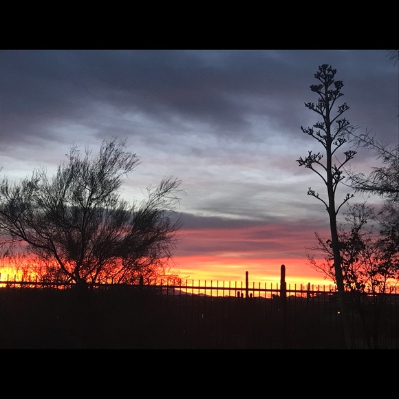 Meet your Posher, Debbie - Picture 1 of 1